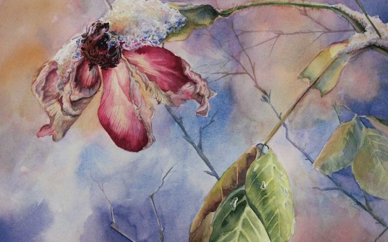 Amy Browning Dill – Transitory Blossoms