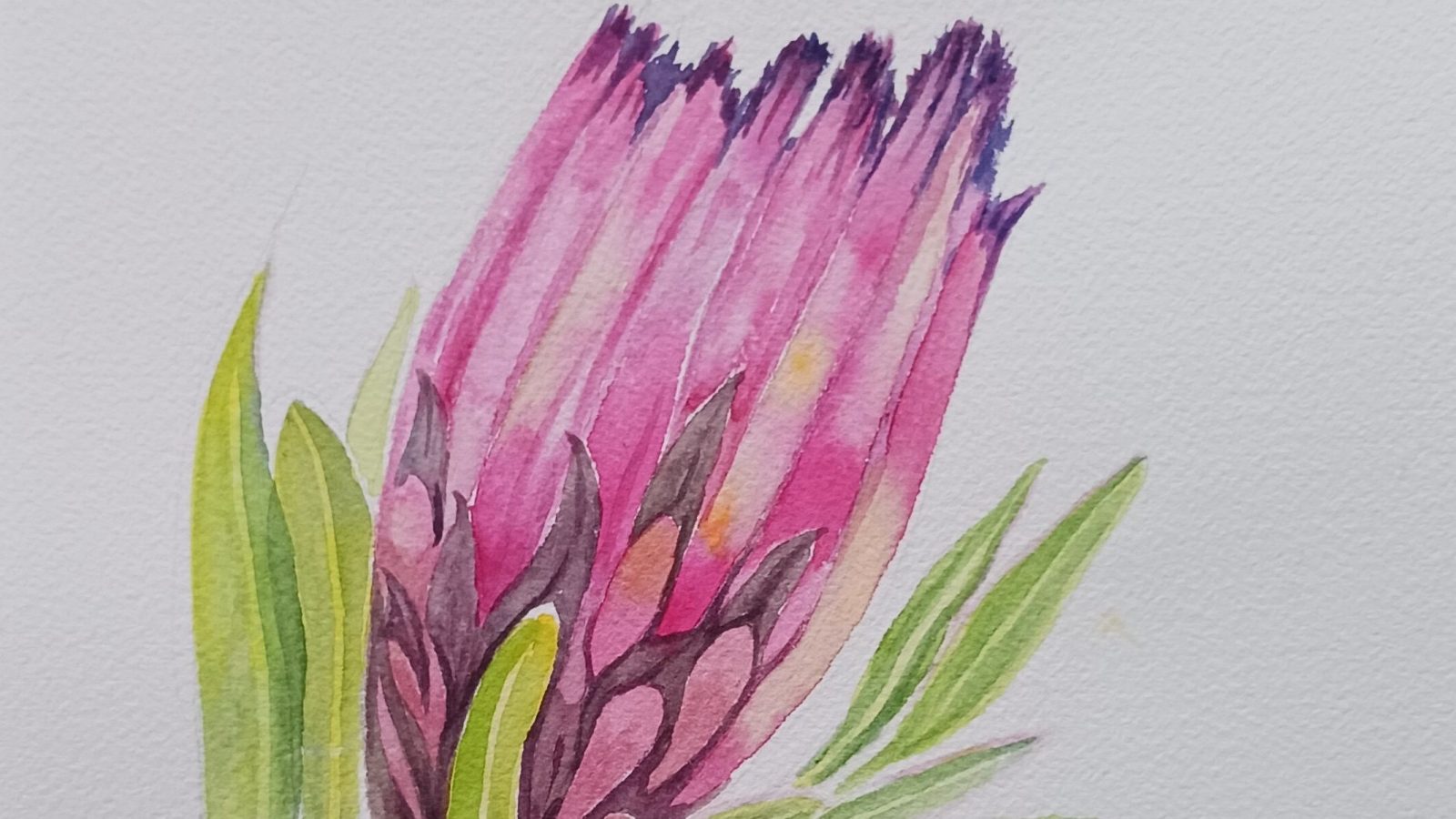IntroductionToWatercolor