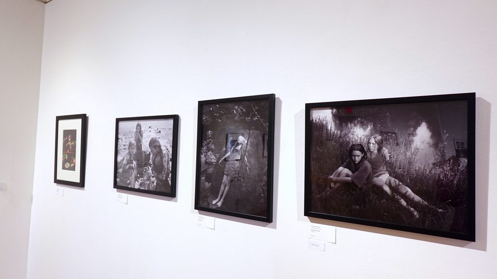 National Juried Photography Exhibition 2024 DSC03040