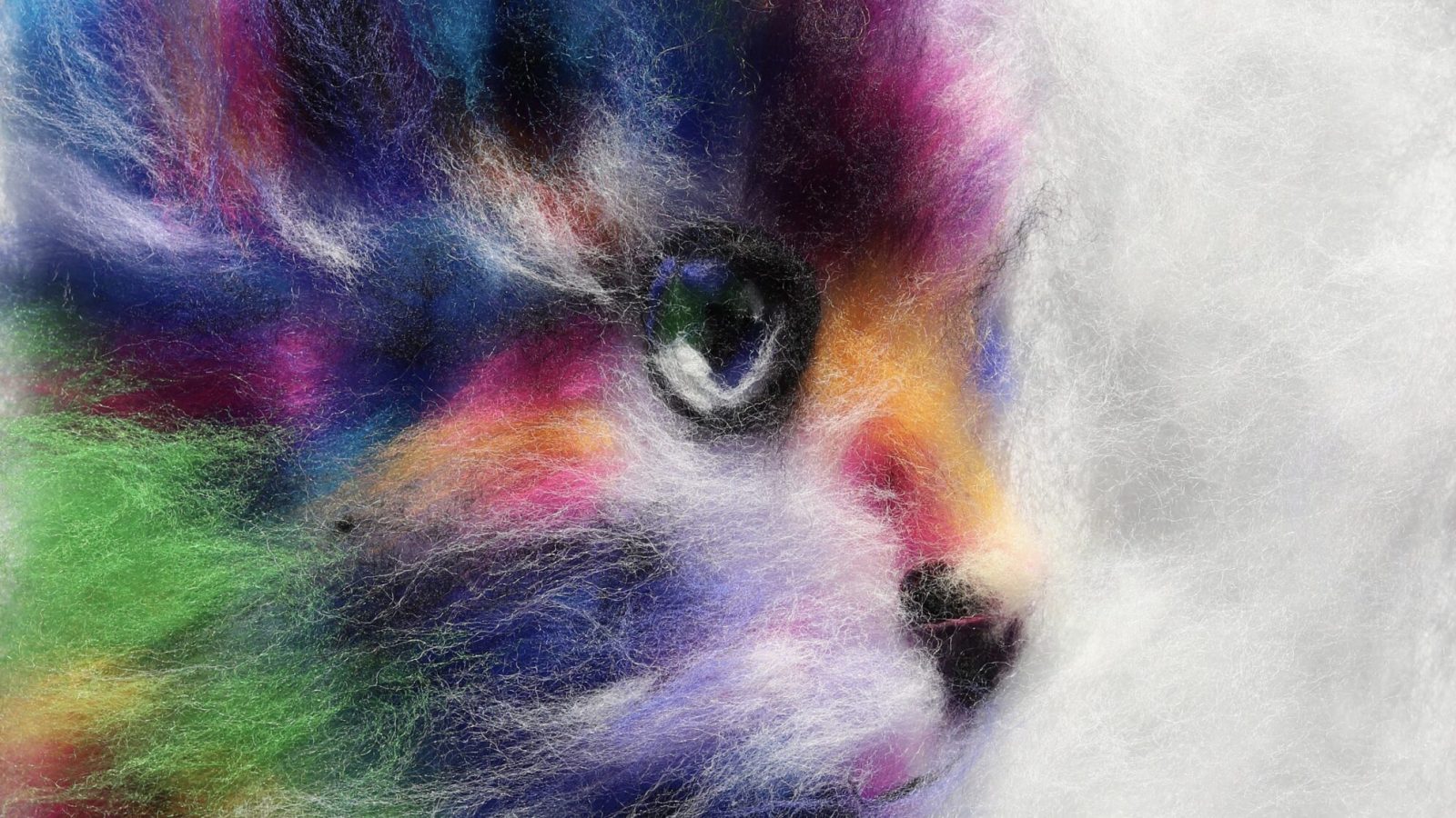Rainbow Cat