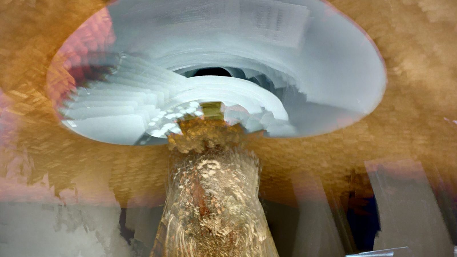 Still Life with Motion